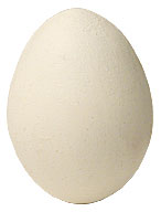 Wooden Egg by Bazar de Magia - Trick - Click Image to Close
