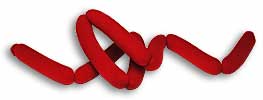 Foam Hot Dog String Magic by Gosh - Trick